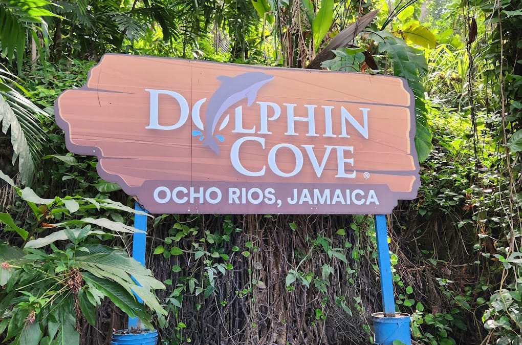 Dunns River Falls near Ocho Rios