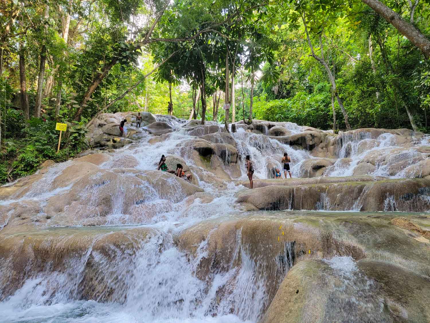 Dolphin Cove near Ocho Rios Jamaica